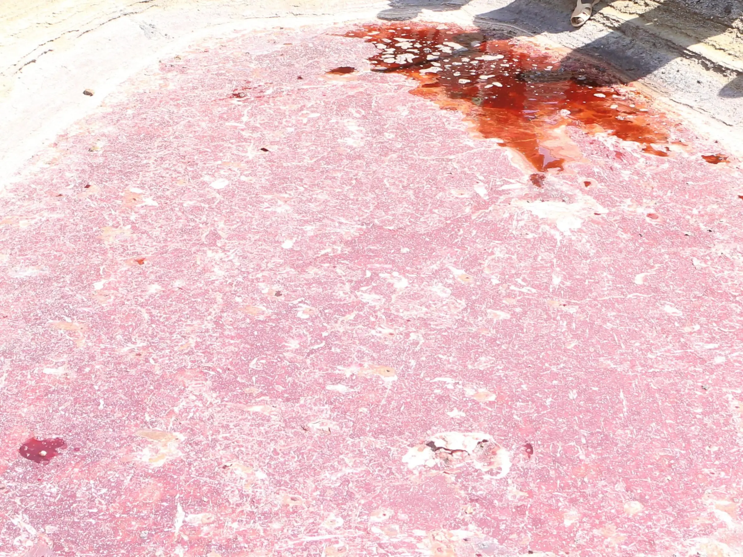 Close-up of a shallow soda pool at Magado Crater, with a pink and red crust and a darker red patch of brine.