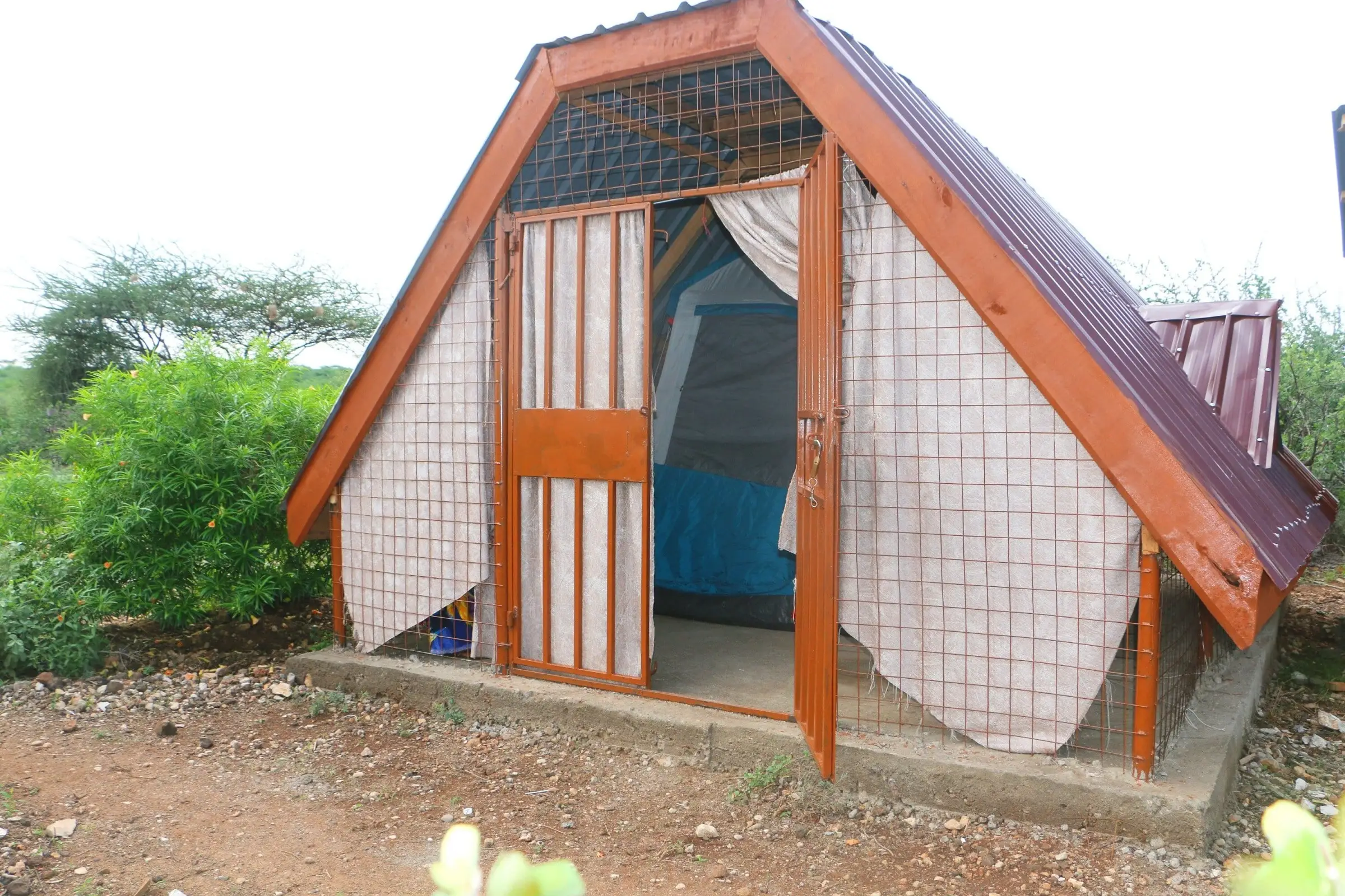 A permanent tent built as an A-frame, with a red-brown tin roof, a metal grille door with a lock, curtains behind mesh panels and a blue tent visible inside.