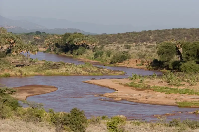 A brown river winding between sandbanks and green bush with palms, and hazy hills behind.