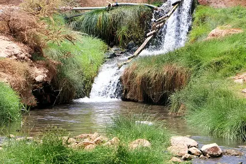 A small waterfall tumbles over rock into a clear pool, between grassy banks and stones.