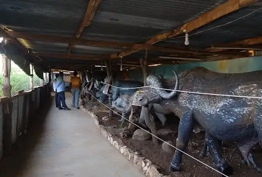 A covered path beside a rope barrier, with life-size animal models, including a horned animal, set on soil and stones. Two visitors walk ahead.
